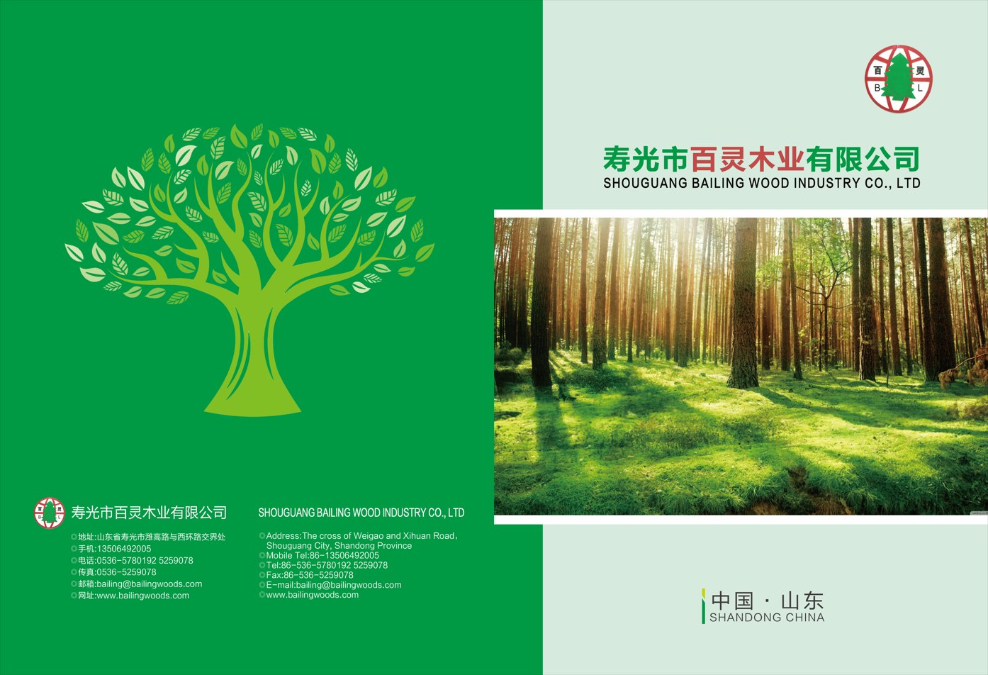 Product catalog, page 1